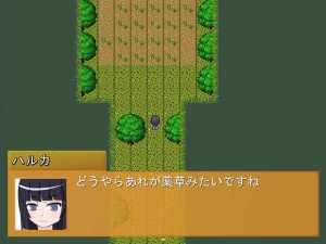 薬草を採りにきましたが